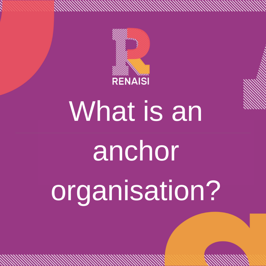 What is an Anchor organisation