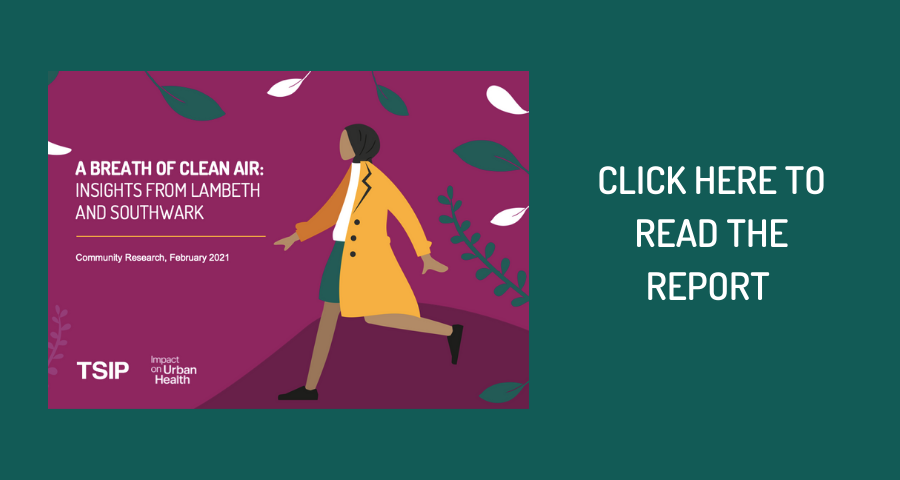 Air Pollution - Report Download Graphic.png