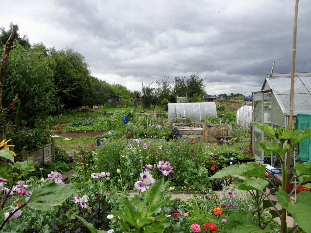 Allotments