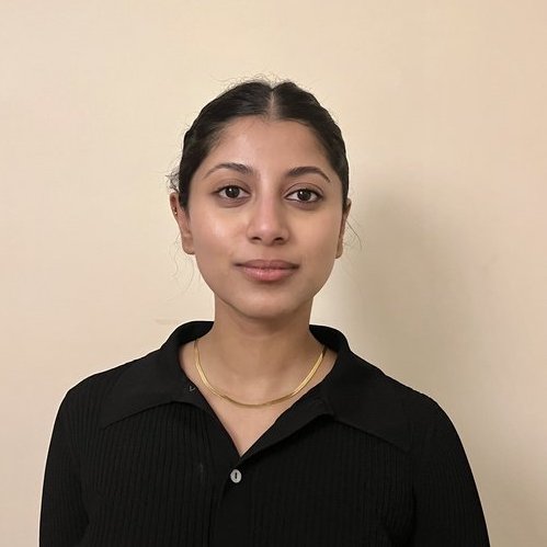 Rasha Rashid, Consultant