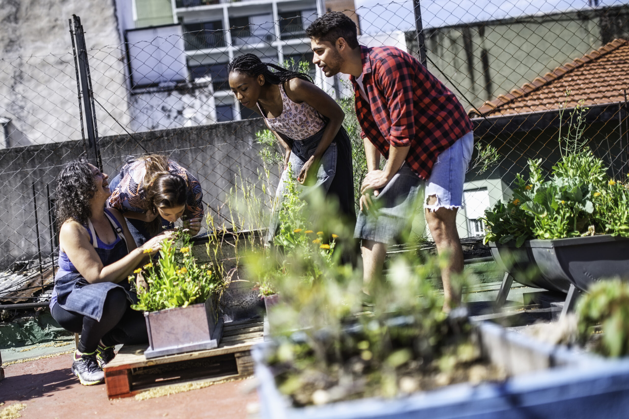 People tending plants together in an urban garden.